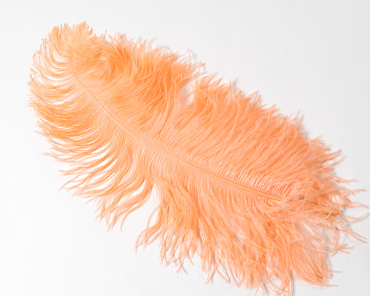 All Ostrich Wing Plume Feathers 20-25 inches by the Piece (CHOOSE
