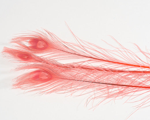Coral Bleached and Dyed Peacock Feather 25-35 inches 100 Pack