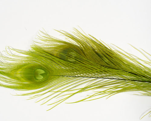 Lime Bleached and Dyed Peacock Feather 25-35 inches 100 Pack