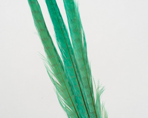 Aquamarine Ringneck Pheasant Feather Bleached and Dyed 18-22
