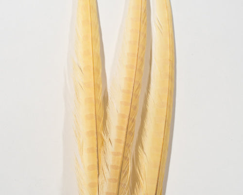 Beige Ringneck Pheasant Feather Bleached and Dyed 18-22