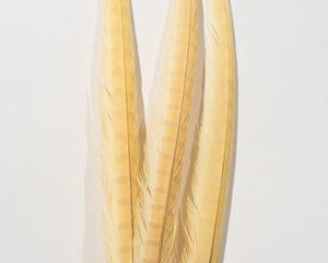 Beige Ringneck Pheasant Feather Bleached and Dyed 18-22", per 10 pack