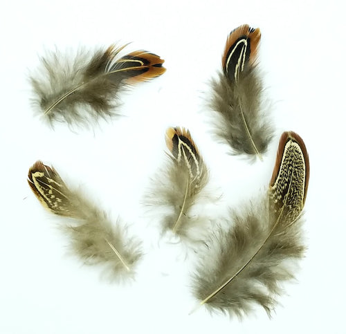 Pheasant Feathers, Plumage, Ringneck Almonds, per 1/2 ounce package