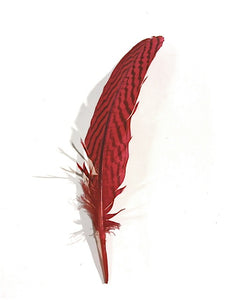 Quills - Short Pheasants, Dyed and Natural, 4-9 inches, per pack of 10
