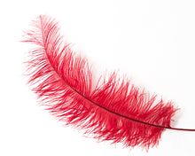 Ostrich Wing Plumes 20”+ 2nd Quality (CHOOSE YOUR COLOR)