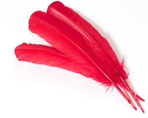 Red Quill Feathers by the Pound