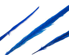 Bleached and Dyed Ringneck Pheasant Feather 18-22", per pack of 10 (CHOOSE YOUR COLOR)