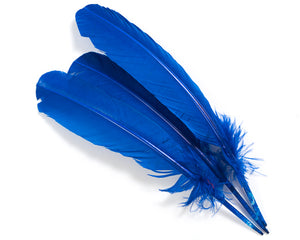 Royal Quill Feathers by the Pound