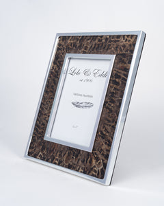 Pheasant Feather and Glass Picture Frame