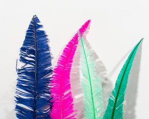 All Ostrich Nando Feathers 18 inches and up, per 10 Feathers (CHOOSE YOUR COLOR)