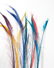 All Bleached and Dyed Peacock Feather Swords 25-35 inches 100 Pack (CHOOSE YOUR COLOR)