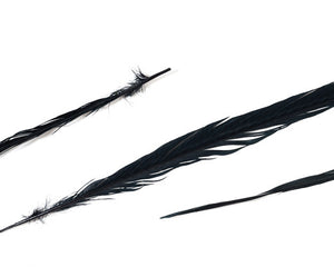Black Ringneck Pheasant Feather Bleached and Dyed 18-22", per 10 pack