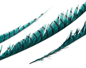 Teal Zebra Pheasant Feathers 30 inches up, per 5 pieces
