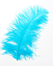 All Ostrich Wing Plume Feathers 20-25 inches by the Piece (CHOOSE YOUR COLOR)