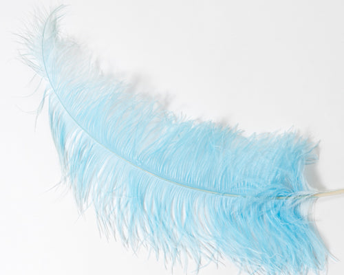 Ostrich Feathers 20 inches and up Second Quality by the Piece (CHOOSE YOUR COLOR)