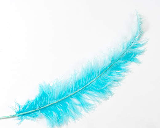 Ostrich Wing Plumes 20”+ 2nd Quality (CHOOSE YOUR COLOR)