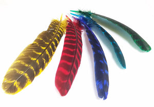 Turkey Feathers, 8-12", Dyed, per pack of 100