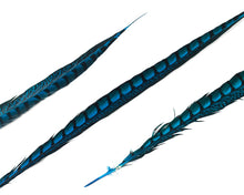 Lady Amherst Pheasant Feathers, Dyed Over Natural, 30-36 inch, per 5 pieces (CHOOSE YOUR COLOR)