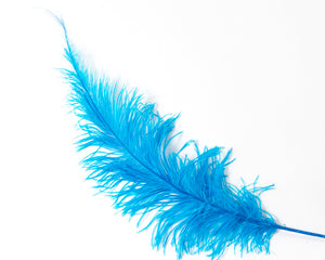 All Ostrich Spad Feathers 20 inches and up, per 10 Feathers (CHOOSE YOUR COLOR)