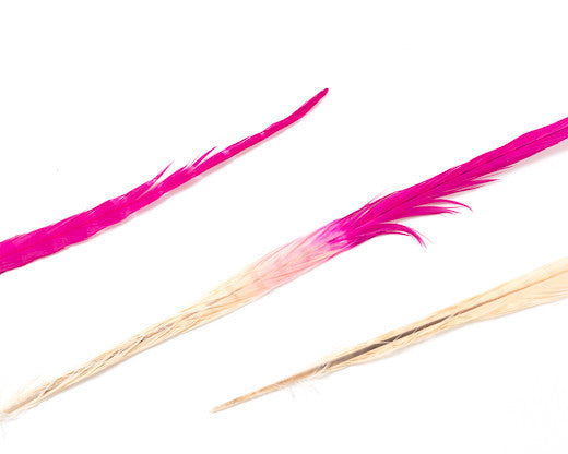 Beige and Hot Pink Ringneck Pheasant Feather Bleached and Dyed 18-22