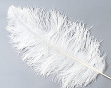 All Ostrich Wing Plume Feathers 20-25 inches by the Piece (CHOOSE YOUR COLOR)