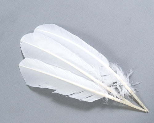 White Quill Feathers by the Pound