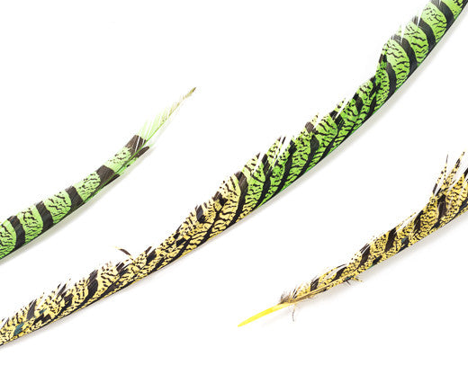 Yellow and Lime Zebra Pheasant Feathers 30 inches up, per 5 pieces