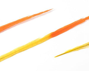 Bleached and Dyed Ringneck Pheasant Feather 18-22", per pack of 10 (CHOOSE YOUR COLOR)