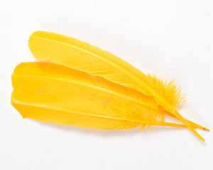 Yellow Quill Feathers by the Pound