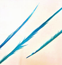 Golden Pheasant Feathers, Dyed, Long, per pack of 10 (CHOOSE YOUR COLOR)