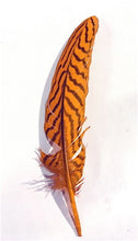 Quills - Short Pheasants, Dyed and Natural, 4-9 inches, per pack of 10