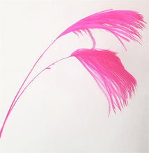 Ostrich Plume Tips, 20 inches long, pack of 6