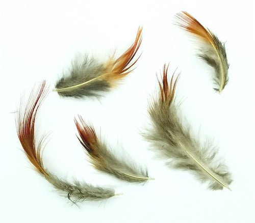 Pheasant Feathers, Plumage, Golden Pheasant, per Ounce