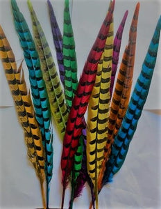 Reeves Pheasant Dyed, 18-20 inch, per 1 or 10 feathers
