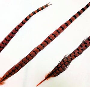Dyed Over Natural Ringneck Pheasant Feathers 18-22" inches and up, per 10 pack (CHOOSE YOUR COLOR)